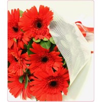 gerbera buket 